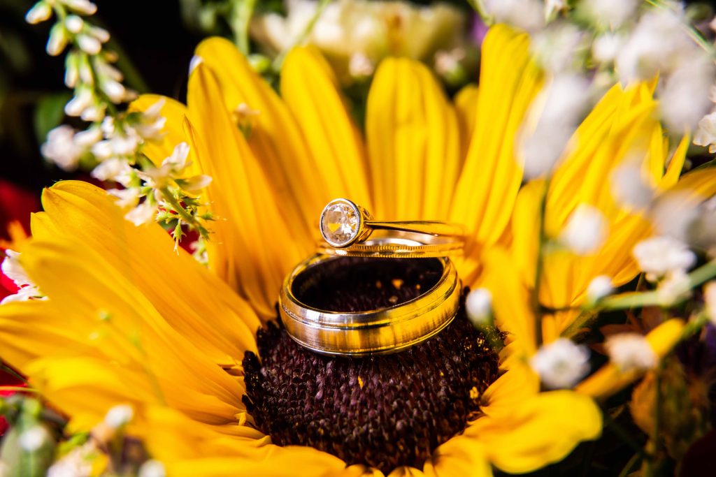close up of engagement and wedding ring on sunflower
