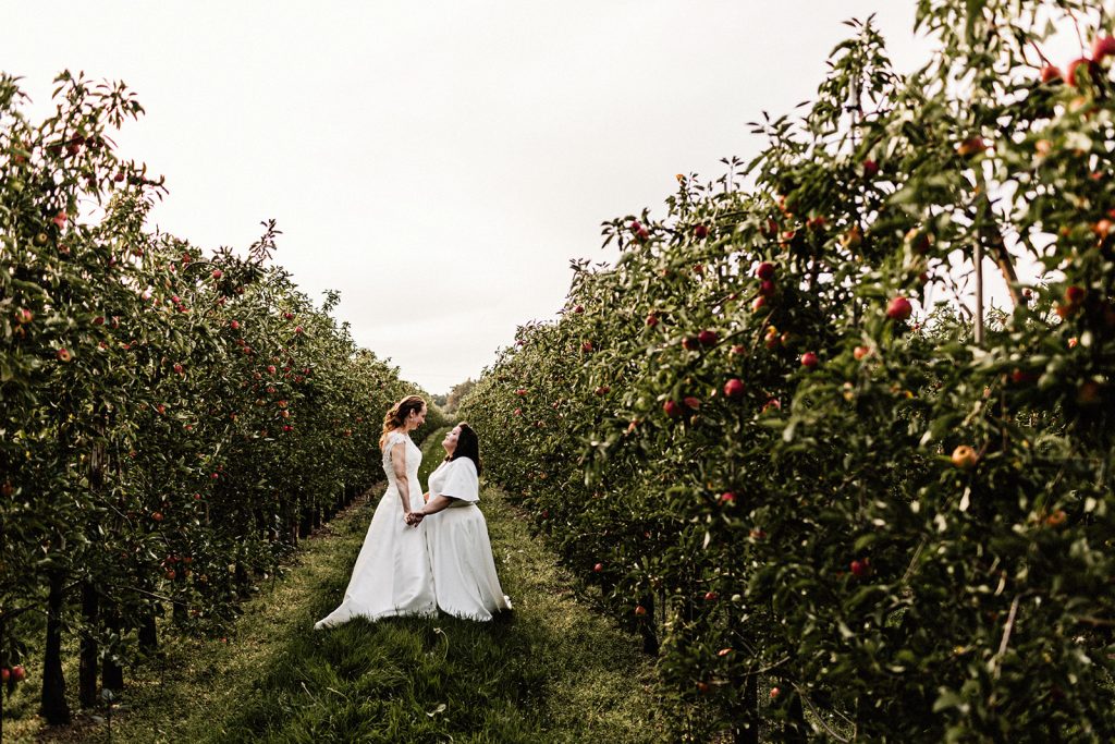 2 brides holding hands looking at each other standing in an apple orchard
