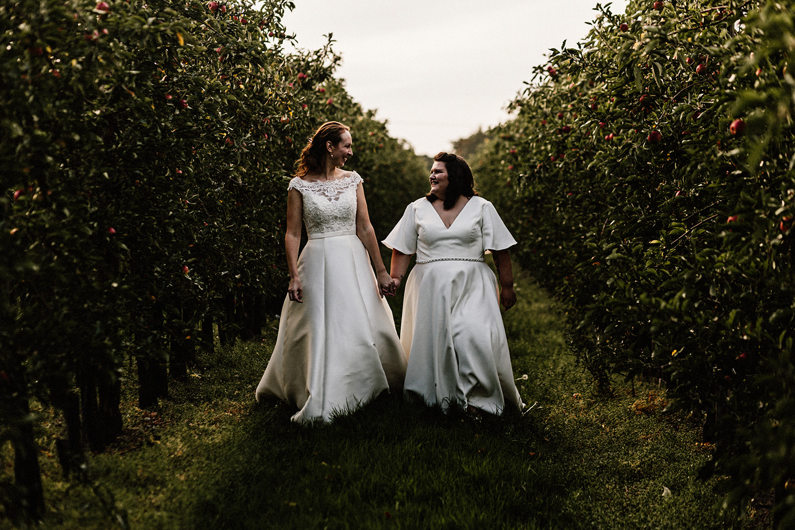 Couple portrait of two brides walking in a apple orchard looking at each other and smiling.